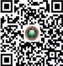 北理研究生教育